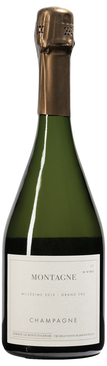 Monts Fournois - Montagne Grand Cru Verzy Champagne 2013 (750)