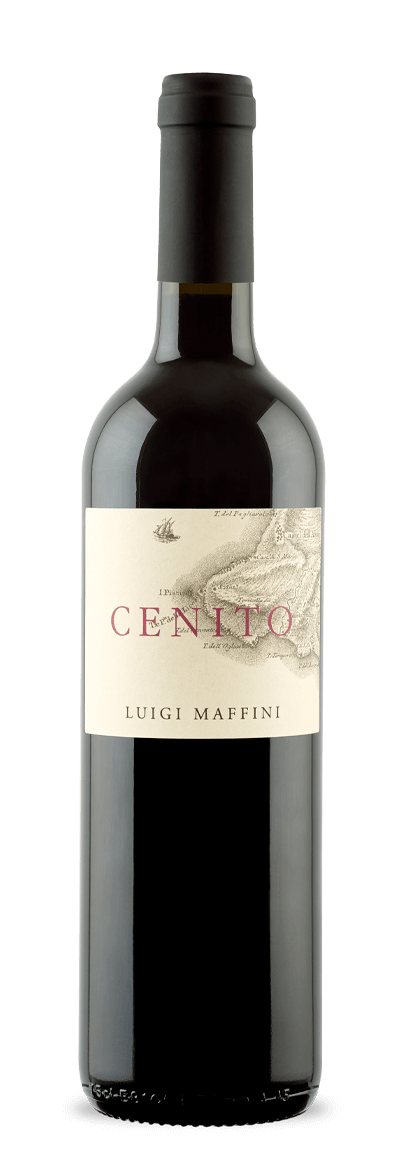 Luigi Maffini - Cilento Aglianico Cenito 2021 (750)