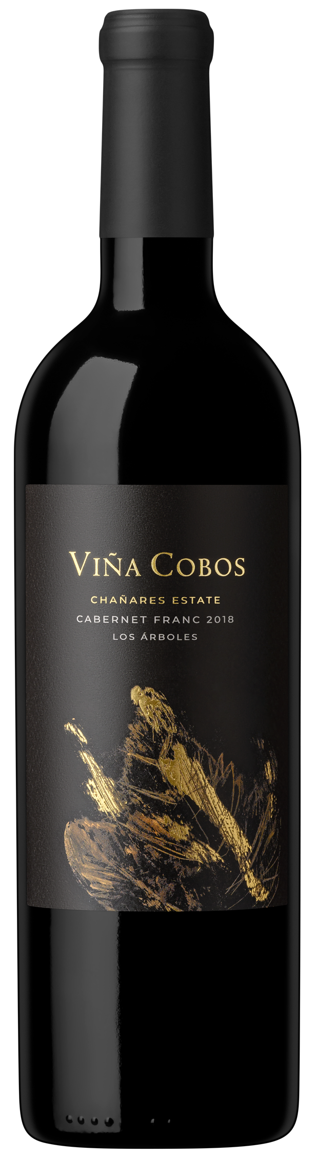Vina Cobos - Cabernet Franc Chanares Estate 2019 (750)