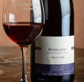 Anne Gros - Bourgogne Rouge 2021 (750)