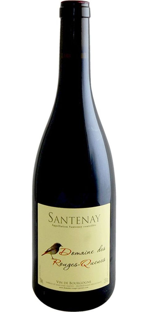 Domaine Des Rouges Queues - Santenay 2020 (750)