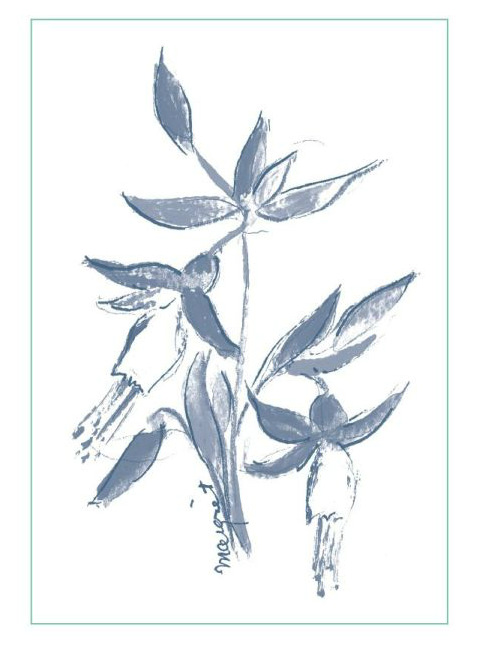 Arnot-Roberts - Cabernet Sauvignon Clajeux Vineyard Chalk Hill 2022 (750)